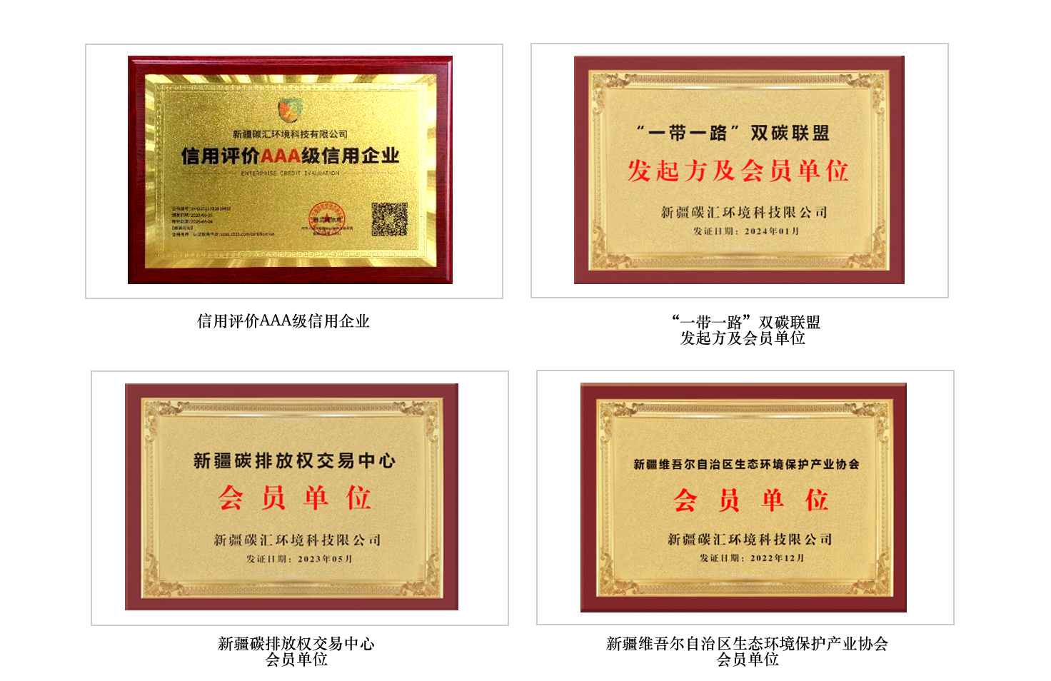 荣誉证书-碳汇.png