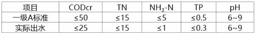 6.png 6.png